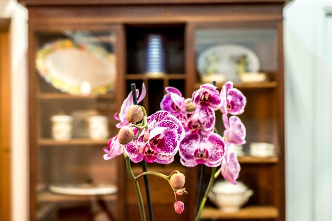 Il Salotto Di Nonna Cornelia 2 Hotel เนเปิลส์ ภายนอก รูปภาพ